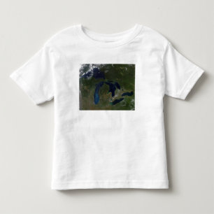 Camiseta Infantil Vista satélite dos grandes lagos