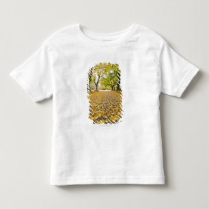 Camiseta Infantil Vizinhança de Eastmoreland no outono