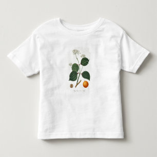Camiseta Infantil Vomica de noz de Strychnos 'de Phytographie