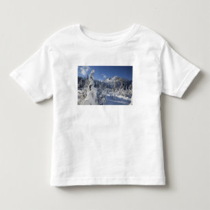 Camiseta Infantil WA, Alpine Lakes Wilderness, bacia do Snow Lake