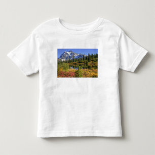 Camiseta Infantil WA, Área de Recreação Heather Meadows, Mt. 2