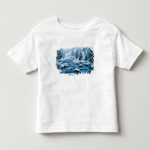 Camiseta Infantil WA, Floresta Nacional de Wenatchee, Cascade