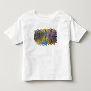 Camiseta Infantil WA, Floresta Nacional Wenatchee, Whitepine Creek,