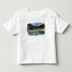 Camiseta Infantil WA, Okanogan NF, Lago Lewis e Black Peak