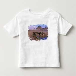 Camiseta Infantil WA, Olimpiadas NP, Second Beach com tidepools e