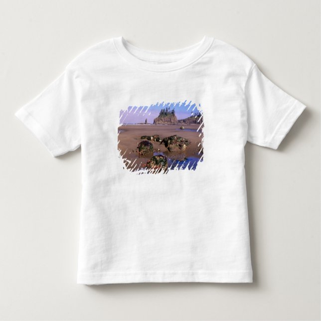Camiseta Infantil WA, Olimpiadas NP, Second Beach com tidepools e (Frente)