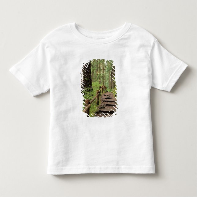 Camiseta Infantil WA, Olimpiadas NP, Sol Duc Valley, floresta tropic (Frente)