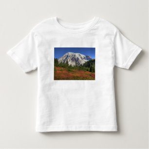 Camiseta Infantil WA, Parque Nacional do Mt. Rainier, Vale do Paraís