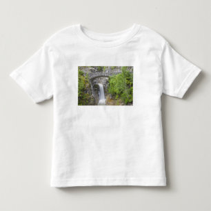 Camiseta Infantil WA, Parque Nacional Mount Rainier, Christine Falls
