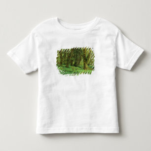 Camiseta Infantil WA, Parque Nacional Olímpico, Floresta Tropical Qu