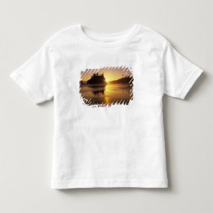 Camiseta Infantil WA, Parque Nacional Olímpico, Segunda Praia ao pôr