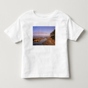 Camiseta Infantil WA, Parque Nacional Olympic, Praia Kalaloch e Kala