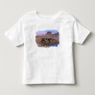 Camiseta Infantil WA, PN Olympic, Segunda Praia com poças de maré e