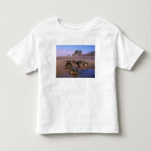 Camiseta Infantil WA, PN Olympic, Segunda Praia com poças de maré e