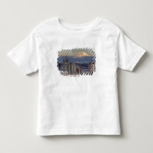Camiseta Infantil WA, Seattle, Monte Rainier do Parque Kerry