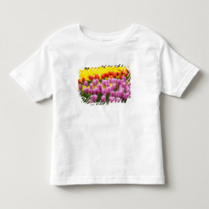 Camiseta Infantil WA, Vale do Skagit, Jardim de Tulipas Roozengaarde