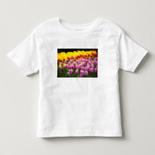 Camiseta Infantil WA, Vale do Skagit, Jardim de Tulipas Roozengaarde