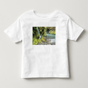 Camiseta Infantil Washington, Parque Nacional Olímpico, Sazonal