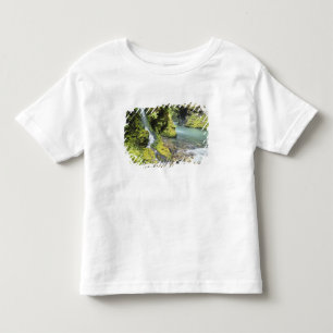 Camiseta Infantil Washington, Parque Nacional Olímpico, Sazonal