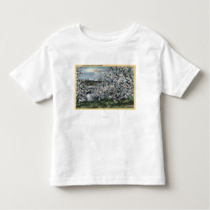 Camiseta Infantil Washington - vista de árvores de Apple na flor