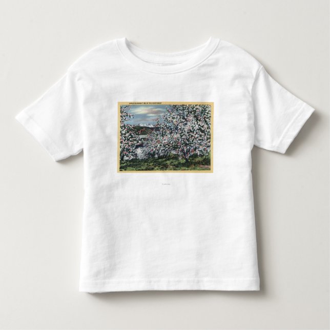 Camiseta Infantil Washington - vista de árvores de Apple na flor (Frente)