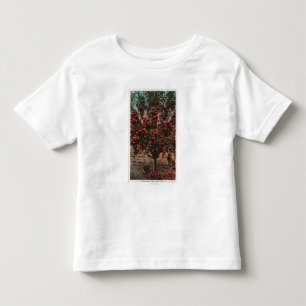 Camiseta Infantil Wenatchee, árvore de Apple do vale de WAA