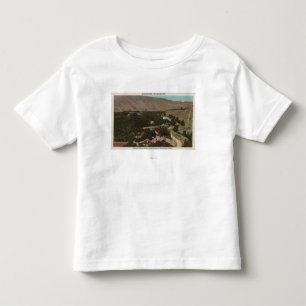 Camiseta Infantil Wenatchee, o olho de WABird do rancho no vale