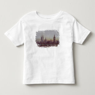 Camiseta Infantil Westminster