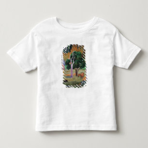 Camiseta Infantil Wi dominiquenses da paisagem ou da paisagem de