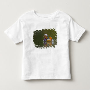 Camiseta Infantil Wild Mandarin Duck Aix galericulata) no escuro