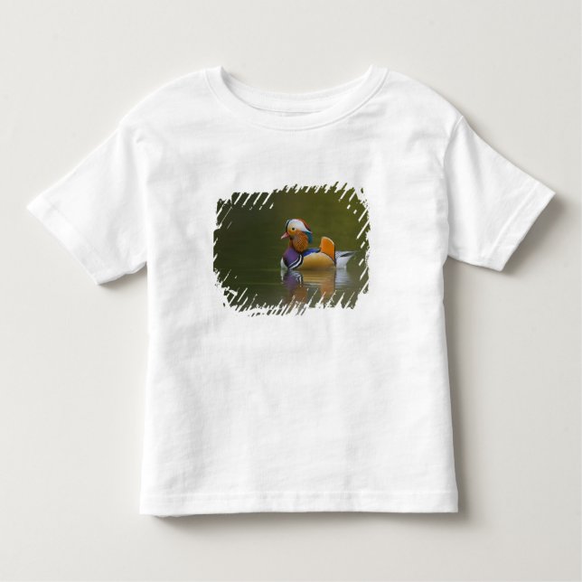 Camiseta Infantil Wild Mandarin Duck Aix galericulata) no escuro (Frente)