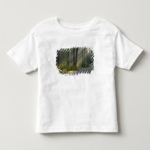 Camiseta Infantil Wilderness Drive, Parque Estadual de Itasca,