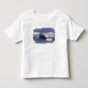 Camiseta Infantil Worcester deram forma ao barco de molho oval e
