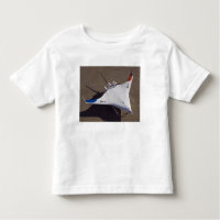 X-48B Veículo aéreo sem tripulação