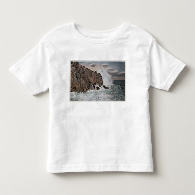 Camiseta Infantil York, MaineView da cabeça calva CliffYork, MIM (Frente)