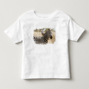 Camiseta Infantil Zebra no Parque Nacional de Meru, Quênia.