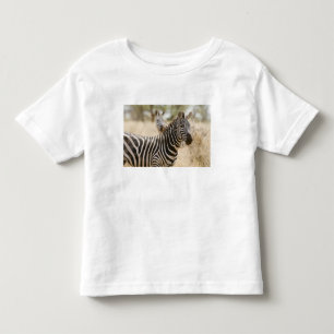 Camiseta Infantil Zebra no Parque Nacional de Meru, Quênia.