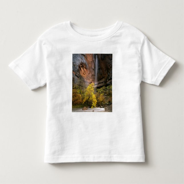 Camiseta Infantil Zion National Park, Utah. EUA. Ephemeral (Frente)