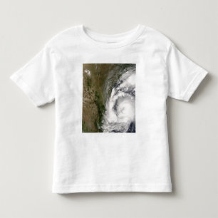 Camiseta Infantil Zorra tropical da tempestade