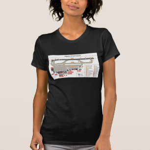 Camiseta Infra-estrutura básica da disposição do diagram