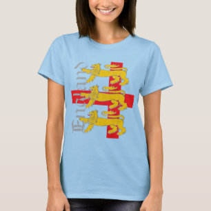 Camiseta Inglaterra 2010