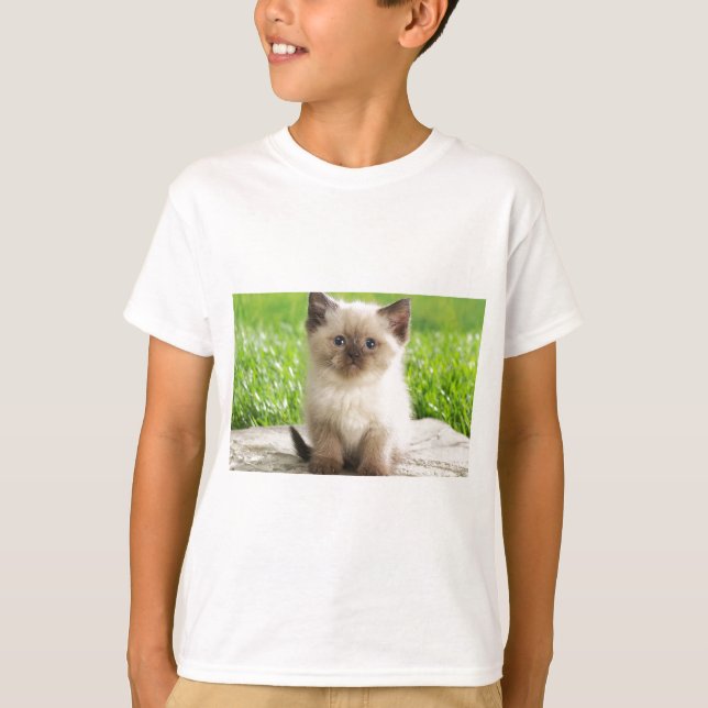 Camiseta Inocent Ragdoll Kitten (Frente)