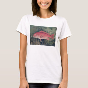 Camiseta Instantâneo Vermelho, de 'Peixes de Jogo dos Esta