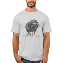 Instituto novo de Thomas de santo