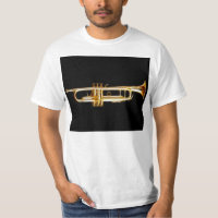 Instrumento musical do vento do chifre de bronze