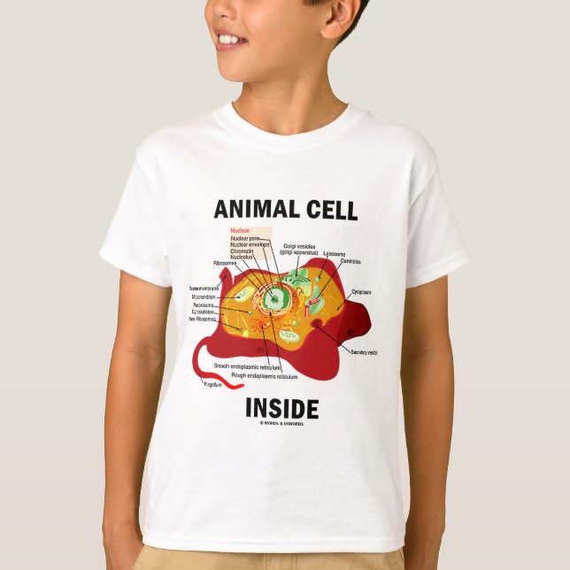 Camiseta Interior animal da pilha (biologia celular do (Frente)