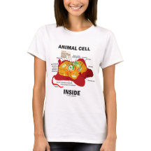 Interior animal da pilha (biologia celular do