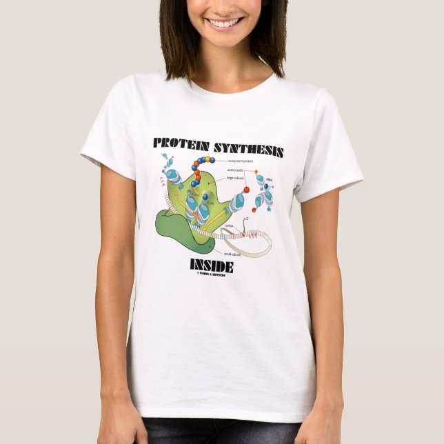 Camiseta Interior da síntese da proteína (biologia celular) (Frente)
