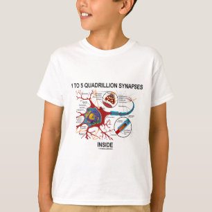 Camiseta Interior de 1 a 5 sinapses do Quadrillion