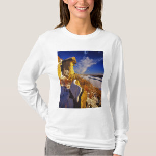 Camiseta Inverno ao longo do rio Missouri perto